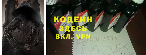 хмурый Аркадак