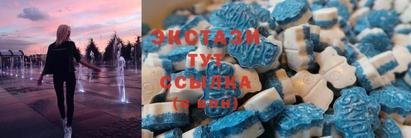 хмурый Аркадак